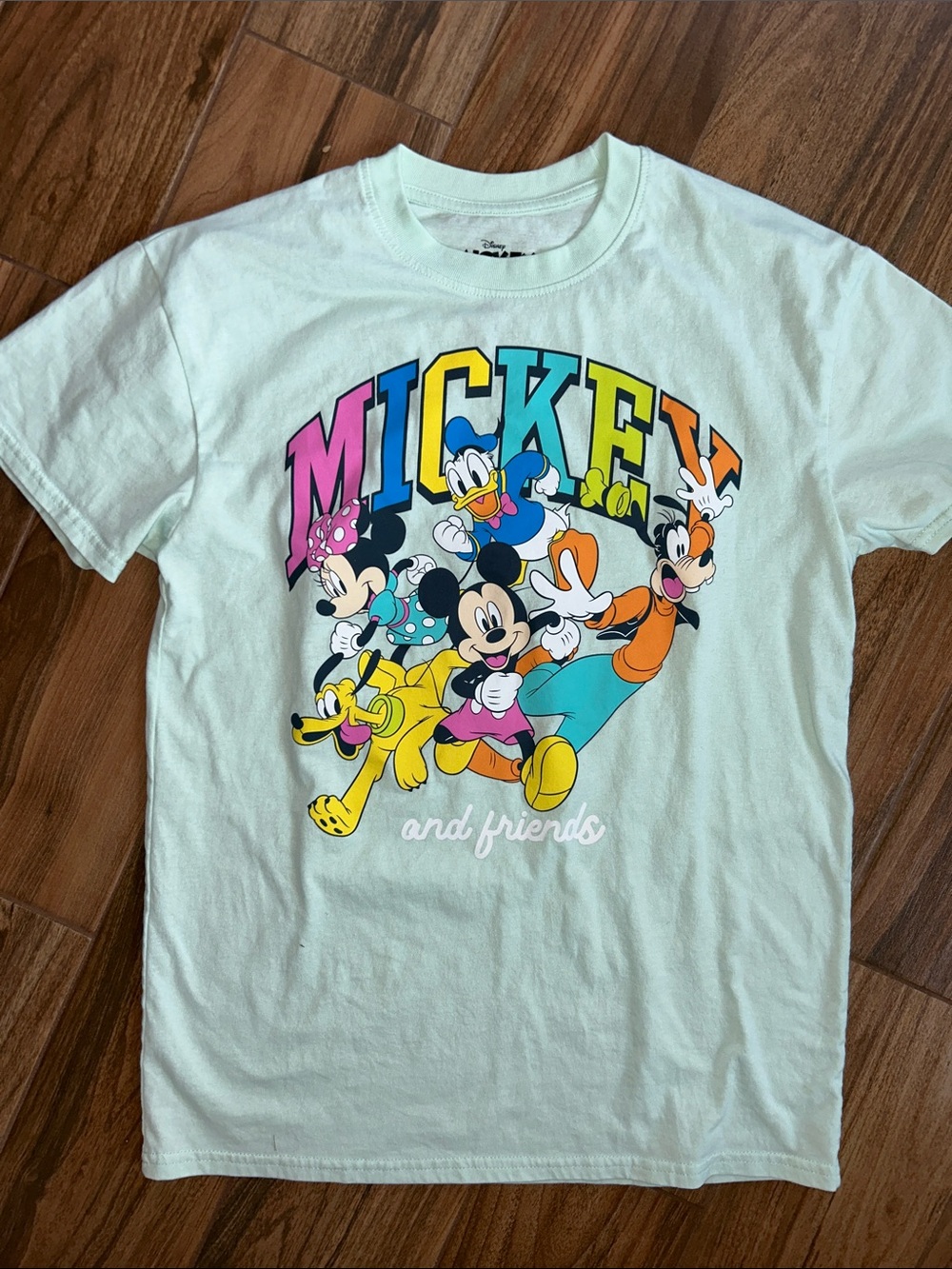 Adult Disney Mickey/Princess TShirts (size medium & large) - Picture 5 of 5